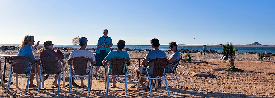 Natwerk Deep dive Dakhla